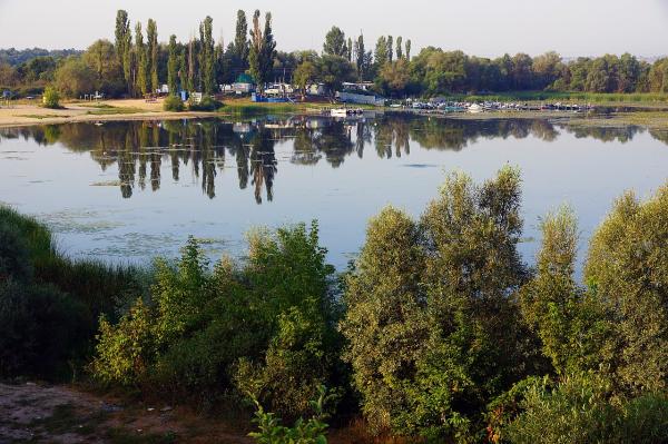 В Сети обсуждают «Мальдивы» около Липецка