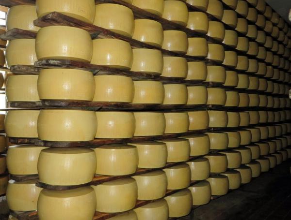 Полезные свойства сыра пармезан назвали учёные