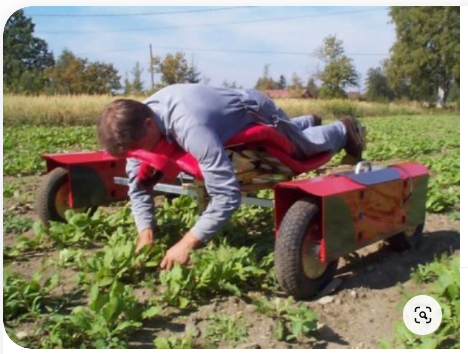 Робототехника все активнее используется в сельскохозяйственной сфере